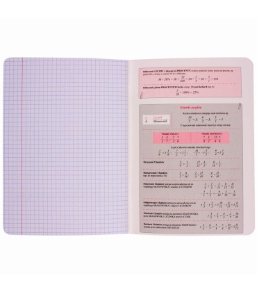 ZESZYT A5 MATEMATYKA, 60 KARTEK, KRATKA, SREBRNA METALIZA BENIAMIN / REXUS