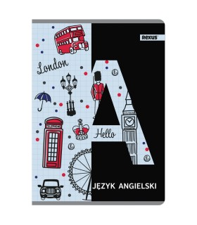 ZESZYT A5 JĘZYK ANGIELSKI, 60 KARTEK, KRATKA, SREBRNA METALIZA BENIAMIN / REXUS