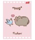 4 X ZESZYT A5, 32 KARTKI, KRATKA z MARGINESEM, PUSHEEN KOTEK KOT
