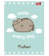 4 X ZESZYT A5, 32 KARTKI, KRATKA z MARGINESEM, PUSHEEN KOTEK KOT