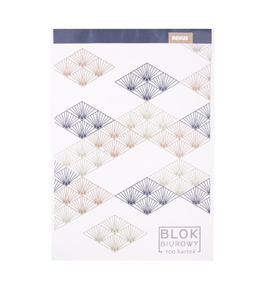 Blok biurowy A4 100 kartek, niebieska kratka, Beniamin / Rexus
