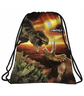 Worek szkolny na obuwie Derform DINOZAURY