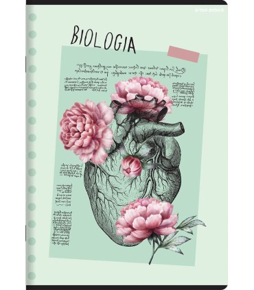 ZESTAW 6 ZESZYTÓW PRZEDMIOTOWYCH A5 DO KLAS 5-6