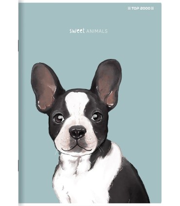 5x ZESZYT TOP 2000 A5 32 KARTKI SWEET ANIMALS KRATKA KAŻDY INNY