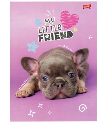 ZESTAW 2 SZT. X ZESZYT A4, 32 KARTKI, KRATKA, My Little Friend Unipap  KAŻDY INNY