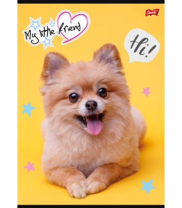 ZESZYT A4 DO DLA DZIEWCZYNKI, 32 KARTKI, W KRATKĘ, UROCZY PIESEK