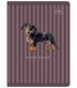 4x ZESZYT A5, 60 KARTEK, KRATKA Puppy Sigh: psy i koty, Interdruk