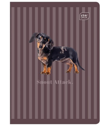 4x ZESZYT A5, 60 KARTEK, KRATKA Puppy Sigh: psy i koty, Interdruk