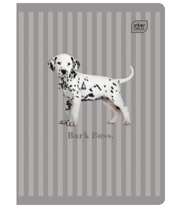 4x ZESZYT A5, 60 KARTEK, KRATKA Puppy Sigh: psy i koty, Interdruk