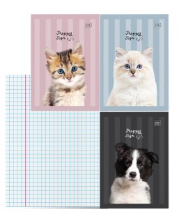 3x ZESZYT A4, 32 KARTKI, KRATKA Z MARGINESEM, DLA DZIEWCZYNKI, INTERDRUK