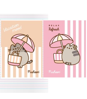 2 X ZESZYT A4 32 KARTKI W KOLOROWE TRZY LINIE PUSHEEN UNIPAP