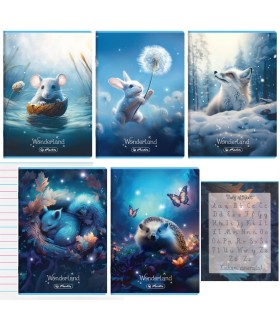 5 SZT. X ZESZYT A5 16 KARTEK DO NAUKI PISANIA W KOLOROWE TRZY LINIE WONDERLAND HERLITZ