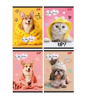 4X ZESZYT A5 32 KARTKI w TRZY LINIE MY LITTLE FRIEND PIESKI KOTEK UNIPAP